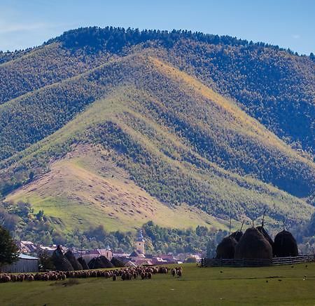 Picturesque Village In Transylvania Răşinari Quarto foto