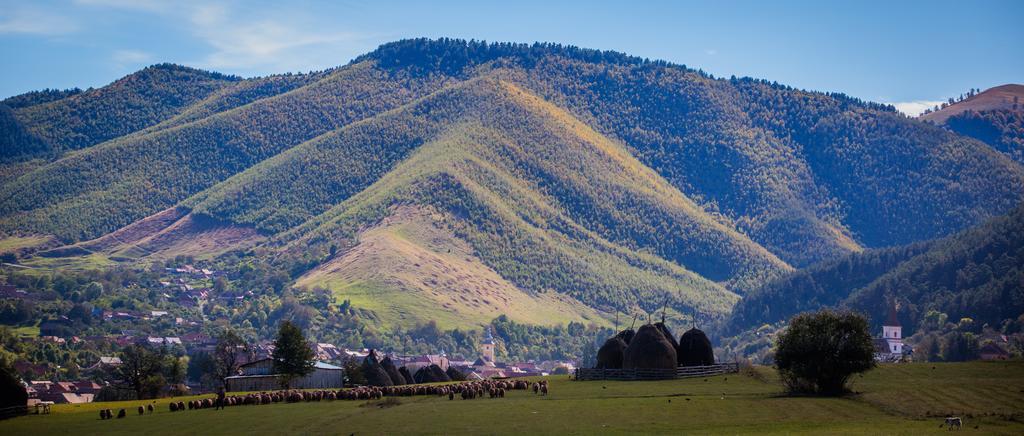 Picturesque Village In Transylvania Răşinari Quarto foto