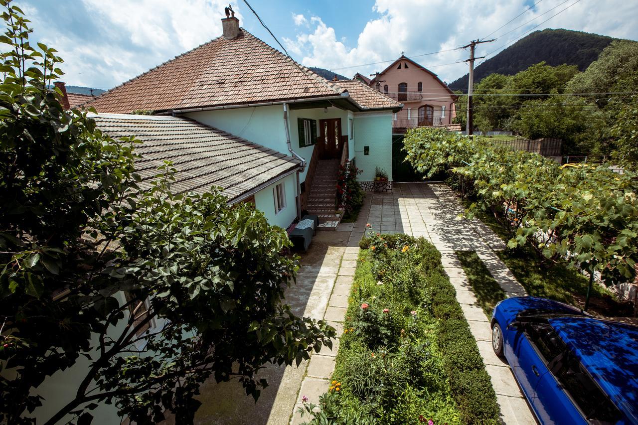 Picturesque Village In Transylvania Răşinari Exterior foto